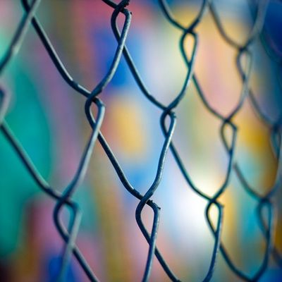 Владислав Єрко