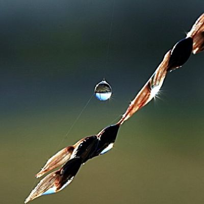 man yaraf nafsahu yaraf Rabbahu