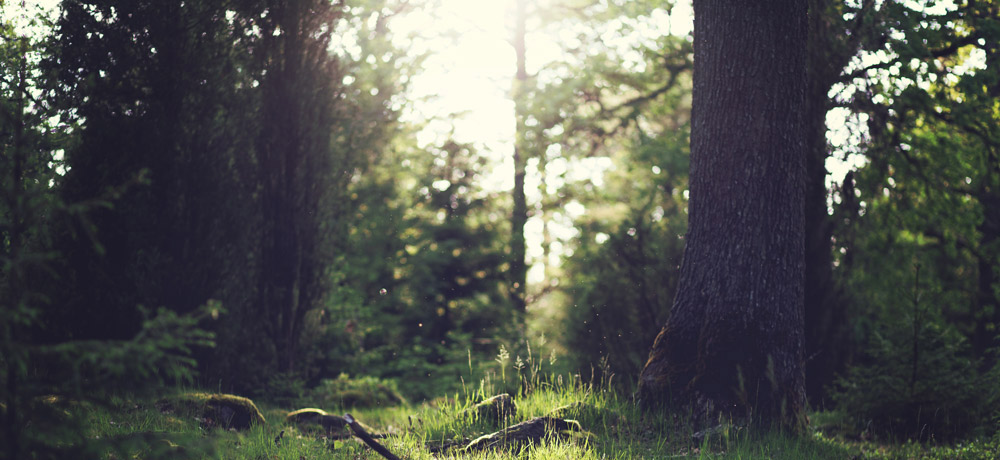 русскоговорящий, русский, психолог, в нюрнберге, в германии, бесплатные консультации